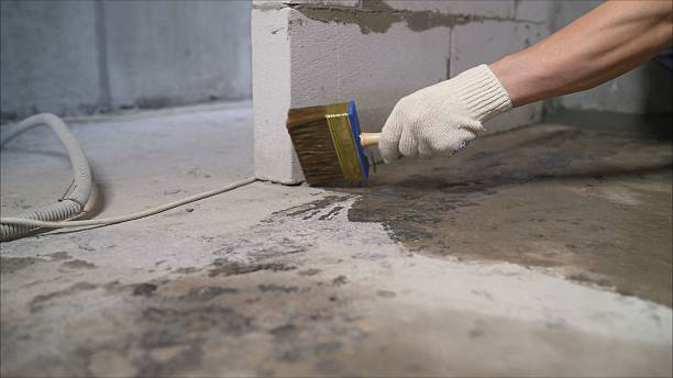 SJ Waterproofing Pros Waterproofing coverage map for Caledonia, NY and surrounding area
